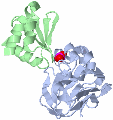 Image NMR Structure - all models