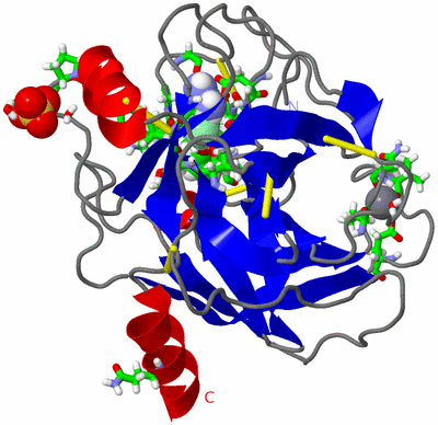 Image Asym./Biol. Unit - sites