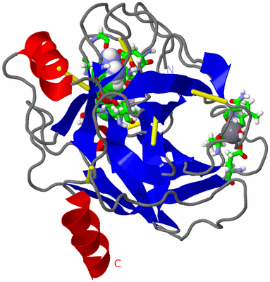 Image Asym./Biol. Unit - sites