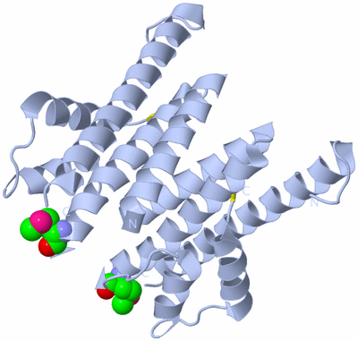 Image Biological Unit 1