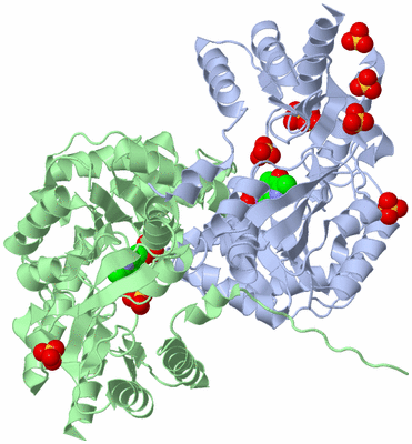 Image Asym./Biol. Unit