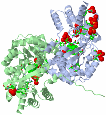 Image Asym./Biol. Unit - sites