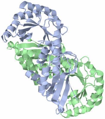 Image Asym./Biol. Unit