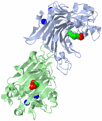 Image Biological Unit 1