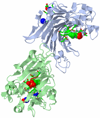 Image Biol. Unit 1 - sites