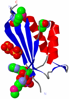 Image Asymmetric Unit