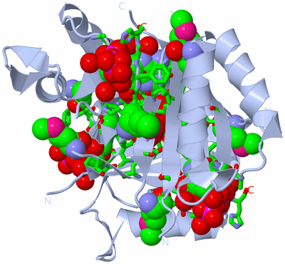 Image Biol. Unit 1 - sites