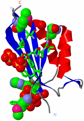 Image Asym. Unit - sites