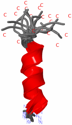 Image NMR Structure - all models