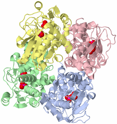 Image Asym./Biol. Unit