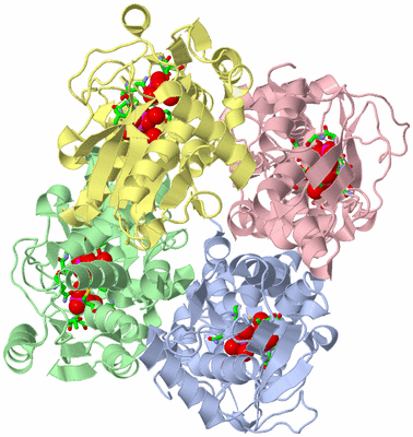 Image Asym./Biol. Unit - sites