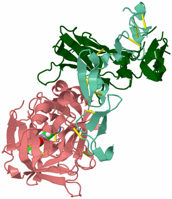 Image Asym./Biol. Unit