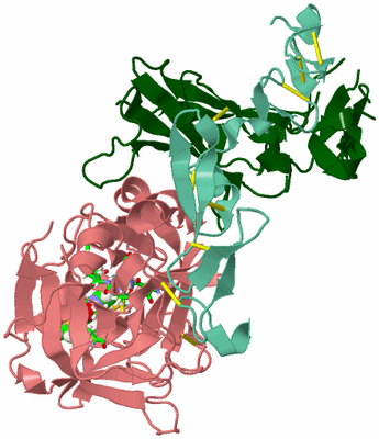 Image Asym./Biol. Unit - sites