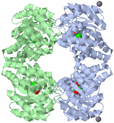 Image Biological Unit 1