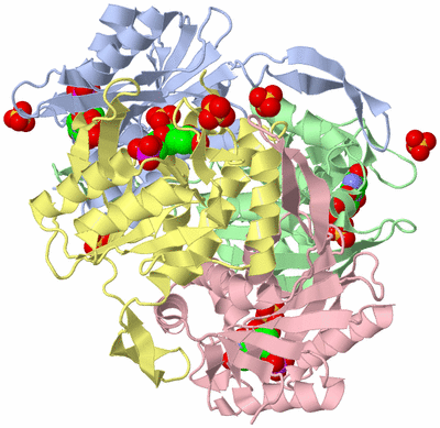 Image Asym./Biol. Unit