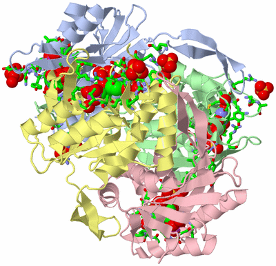 Image Asym./Biol. Unit - sites
