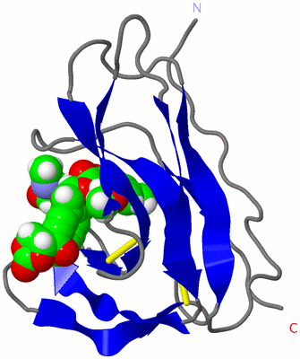 Image NMR Structure - model 1