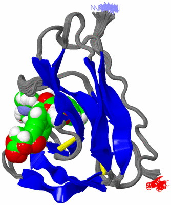 Image NMR Structure - all models