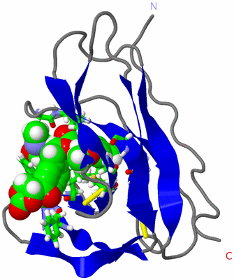 Image NMR Structure - model 1, sites