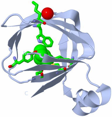 Image Biol. Unit 1 - sites