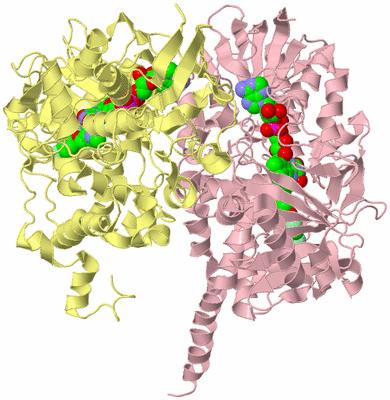 Image Biological Unit 2