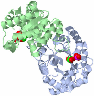 Image Asym./Biol. Unit