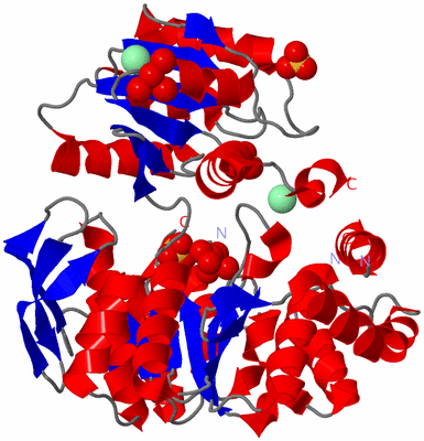 Image Asym./Biol. Unit