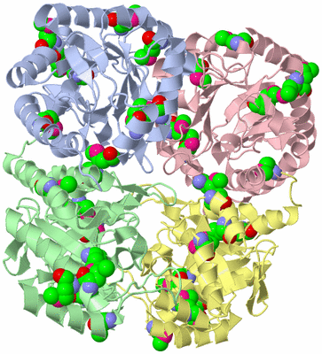 Image Asym./Biol. Unit