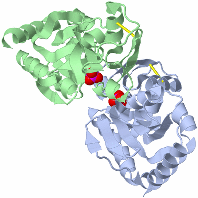 Image Asym./Biol. Unit