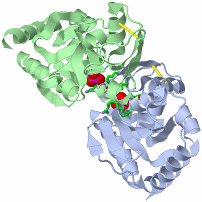 Image Asym./Biol. Unit - sites