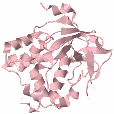 Image Biological Unit 3