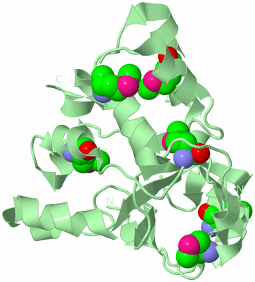 Image Biological Unit 2