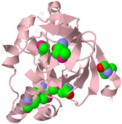 Image Biological Unit 3