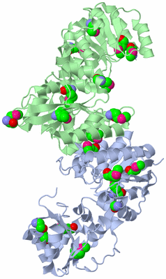 Image Asym./Biol. Unit