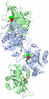 Image Biol. Unit 1 - sites