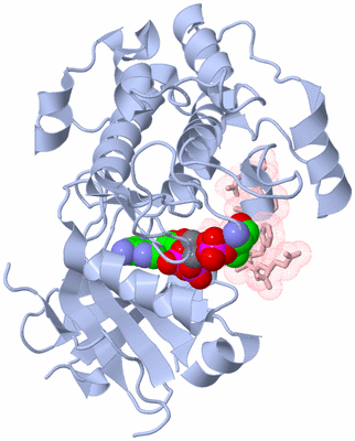 Image Asym./Biol. Unit