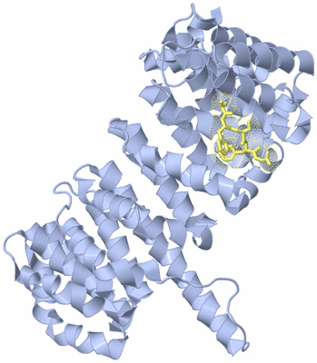 Image Biological Unit 1