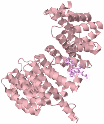 Image Biological Unit 3