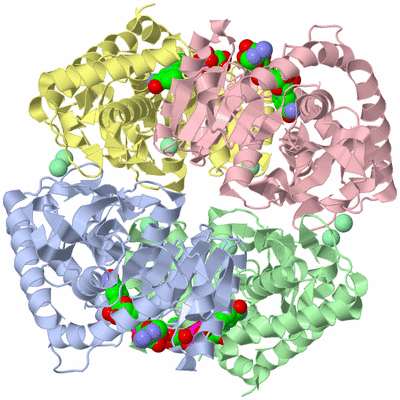 Image Asym./Biol. Unit