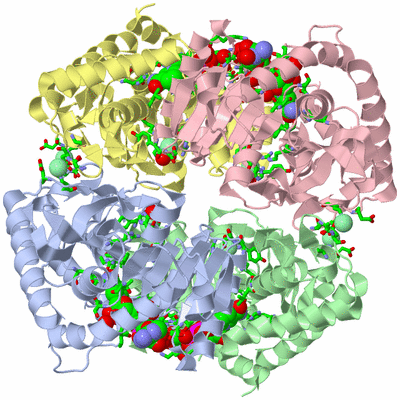 Image Asym./Biol. Unit - sites