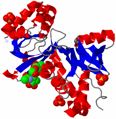 Image Asym./Biol. Unit