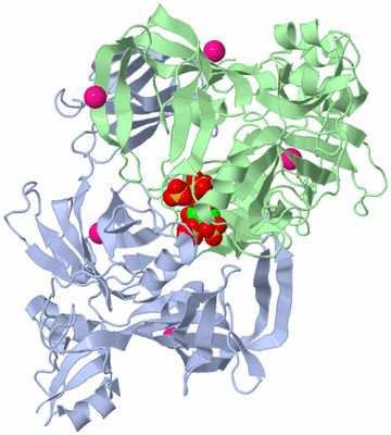 Image Asym./Biol. Unit