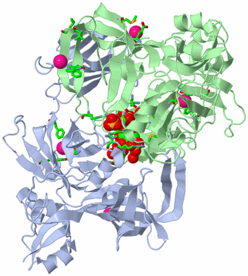 Image Asym./Biol. Unit - sites