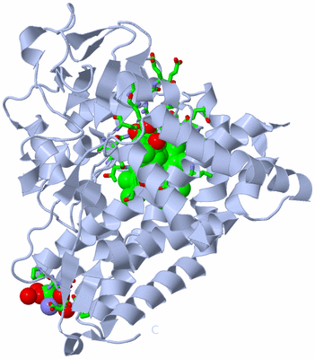 Image Biol. Unit 1 - sites