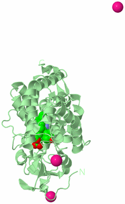 Image Biological Unit 2