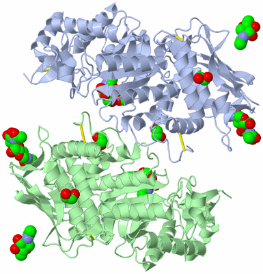 Image Biological Unit 1