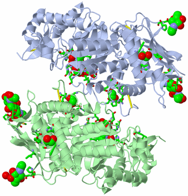 Image Biol. Unit 1 - sites