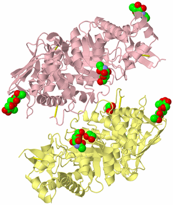 Image Biological Unit 2