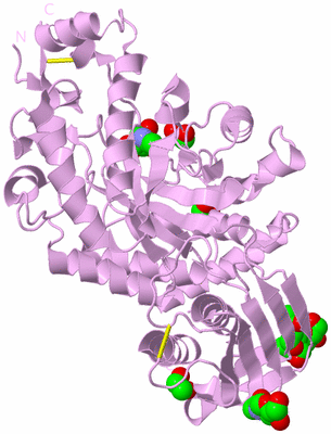 Image Biological Unit 3