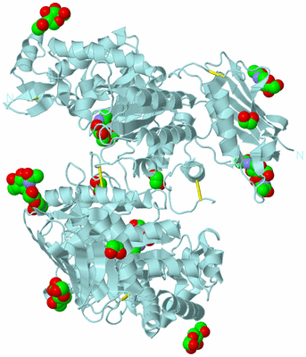 Image Biological Unit 4